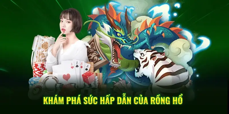  Khám phá sức hấp dẫn của Rồng Hổ